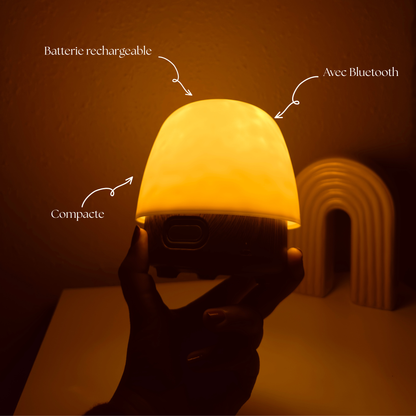 La lampe ZenLightCo
